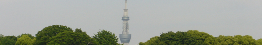 プーマに注目しています。